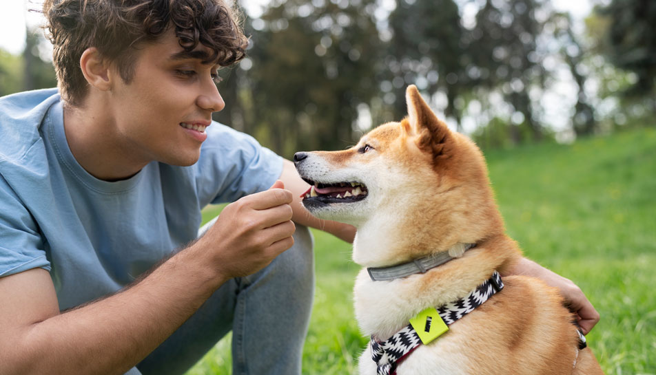 Teen-boy-learned-how-to-make-money-as-a-kid-and-now-walks-cute-fluffy-dogs-in-the-park.